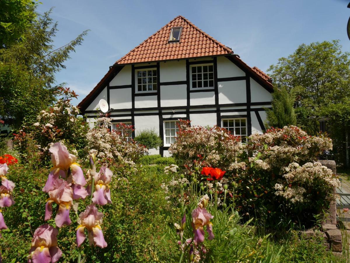 Ferienwohnung Weserblick Polle Экстерьер фото